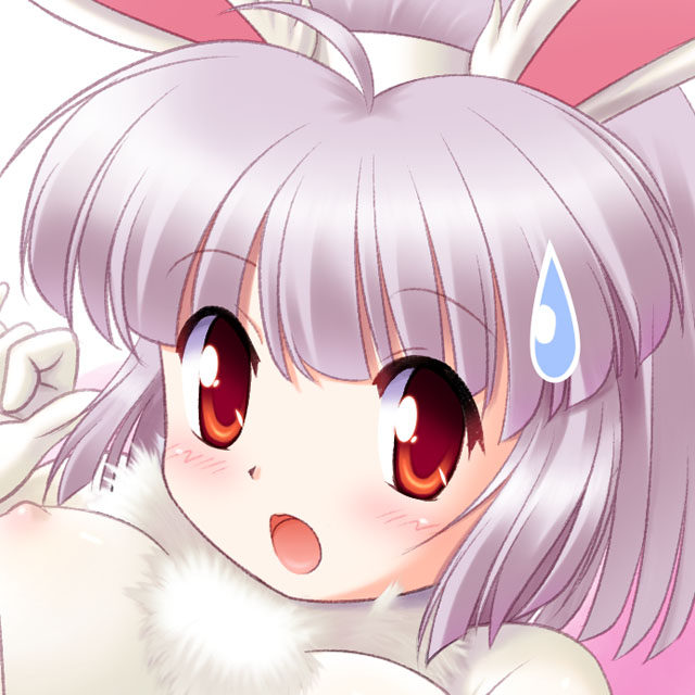 �т����肤��������